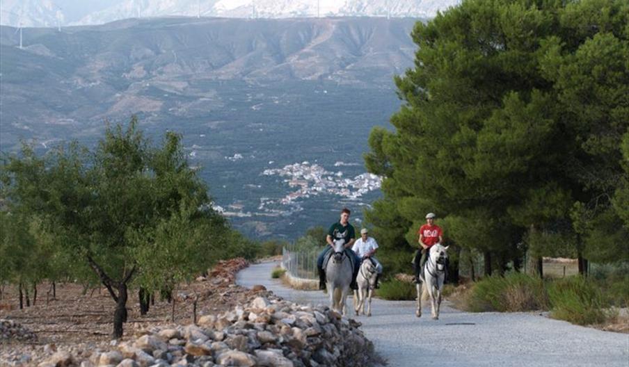 Playtime La Hoya Altera