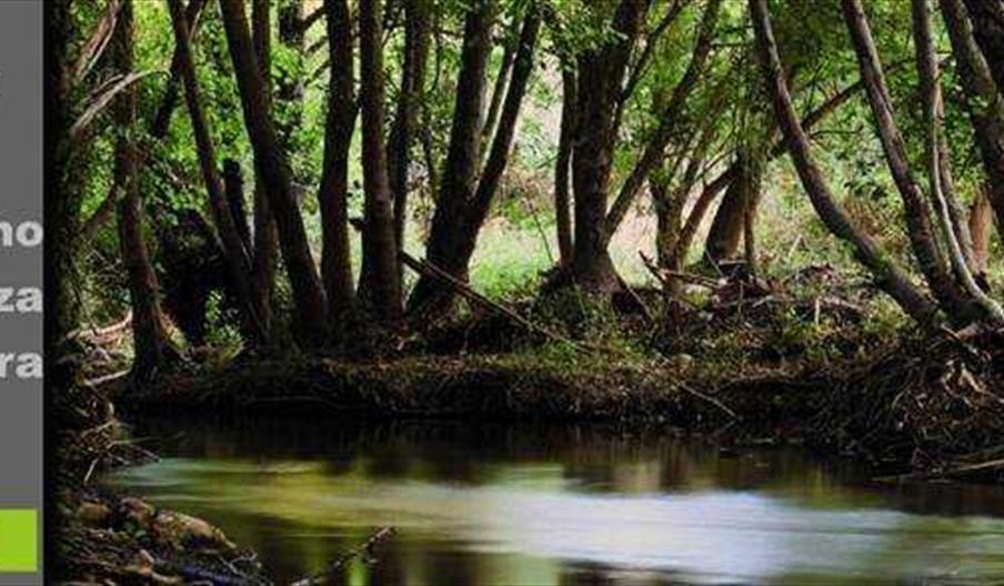 IMAGEN TURnature facebook