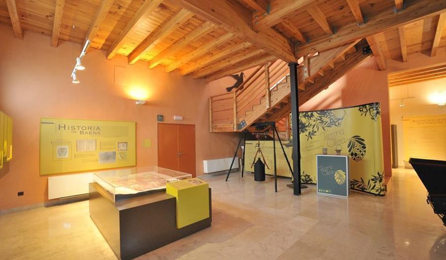 Museo del Olivar y el Aceite