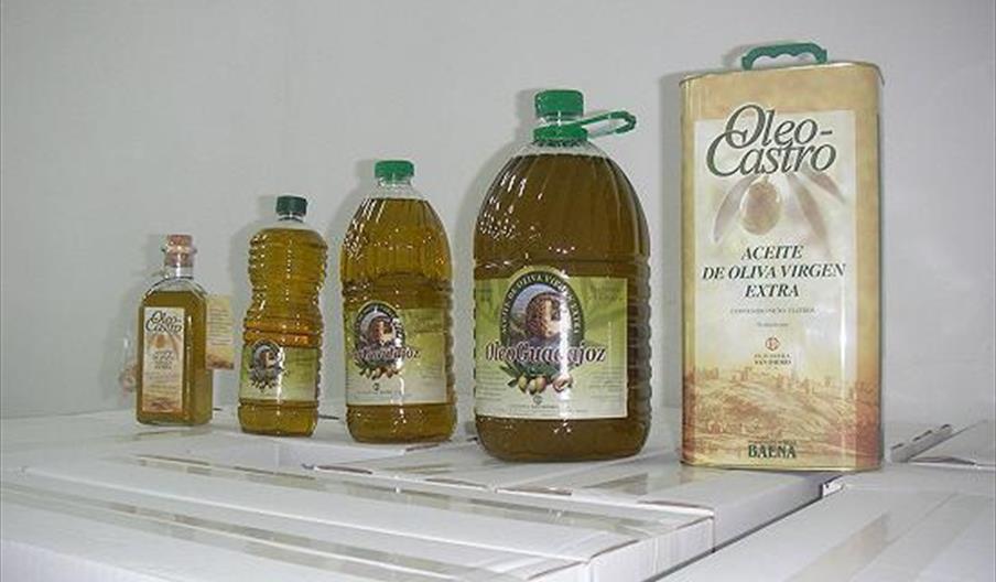 Olivarera San Isidro