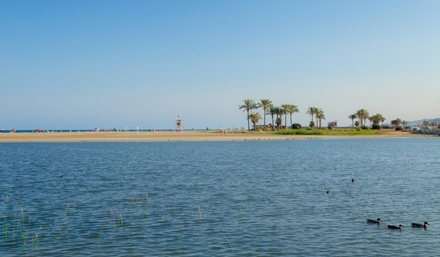 Las Marinas / Bolaga