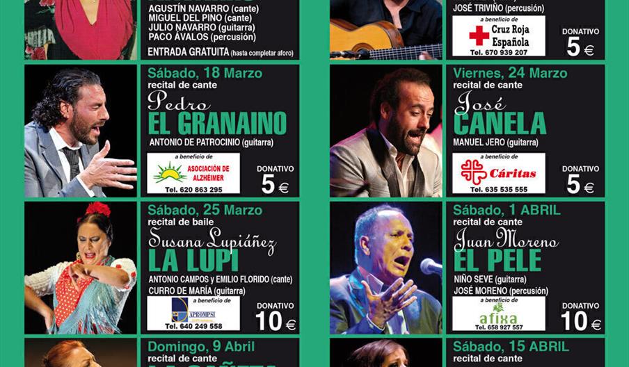 Flamenco Activo Úbeda