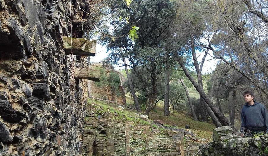 Molino del Batán - Miranda del Rey