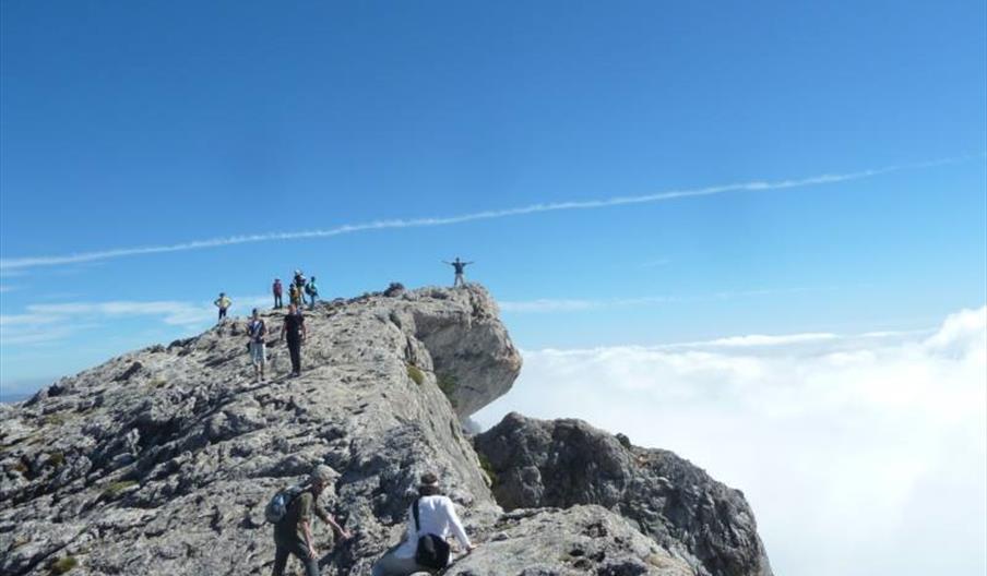 Salamandra Multi-Aventura