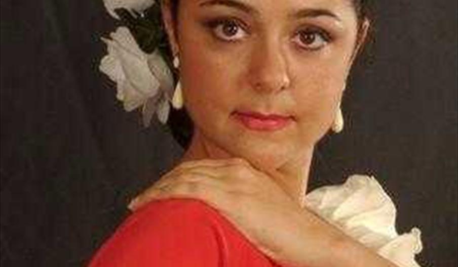 image_160035_jpeg_800x600_q85.jpg Compañia de Flamenco Carmen de Torres