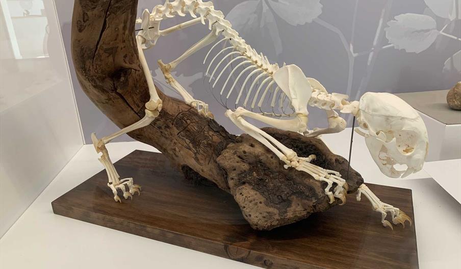 PABELLÓN HISTORIA NATURAL