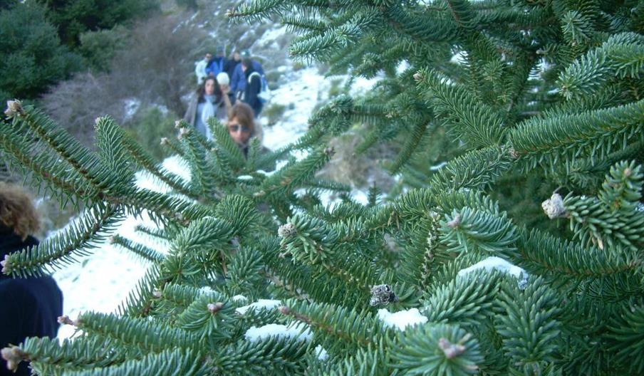 El Bosque Kilómetro Cero