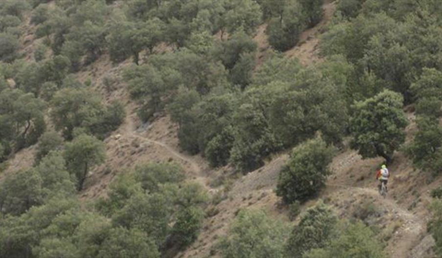 Mountain Biking Spain