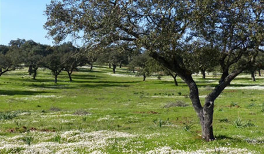 Routen am unteren Guadiana