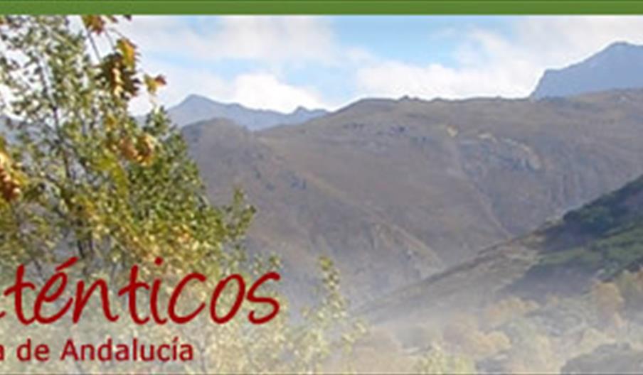 Caminos Auténticos Granada