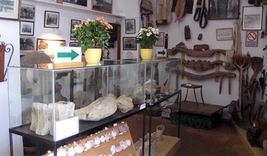 Museo Municipal de Raí­ces Conileñas