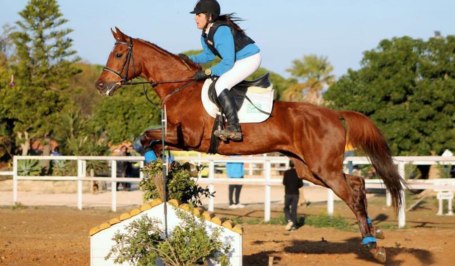 Hípica Bahía Verde