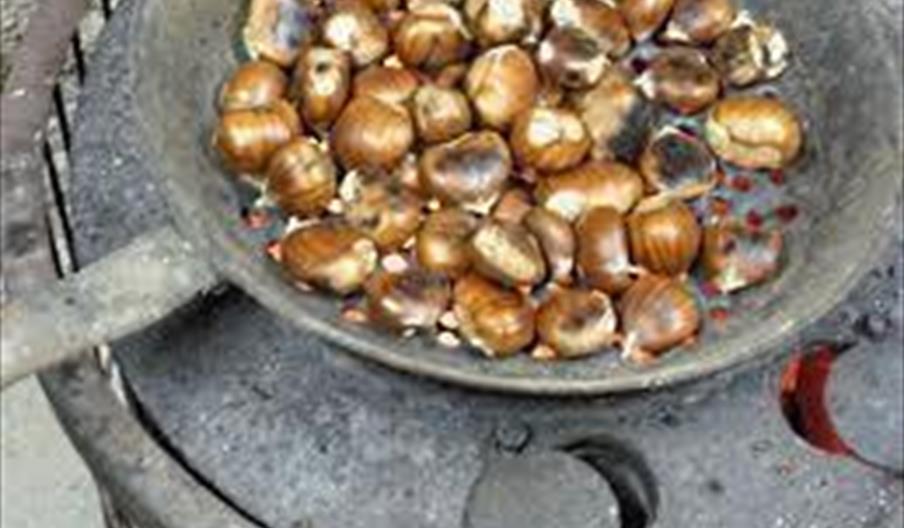 Fiesta de la Castaña en Pujerra