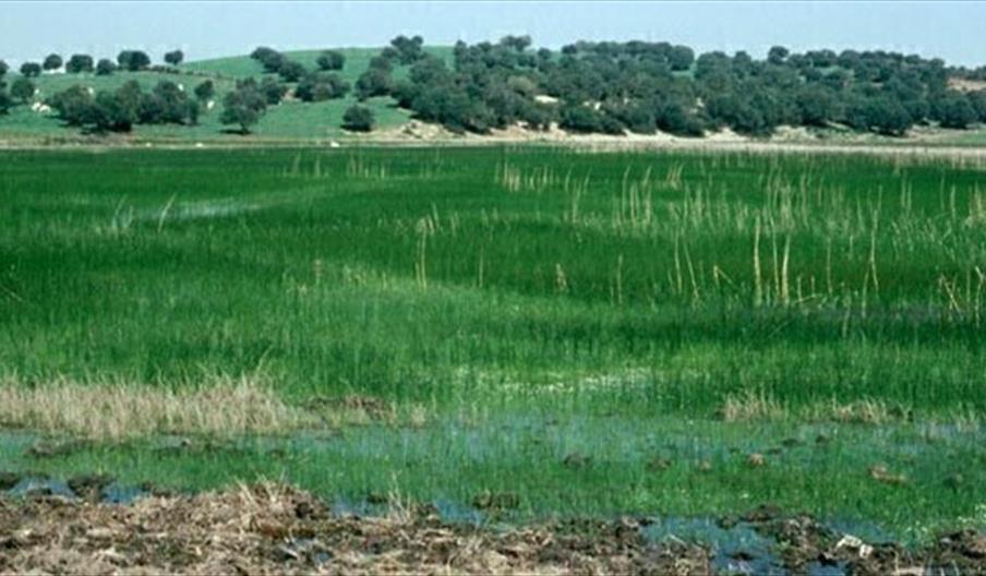 Lagunas de las Canteras y el Tejón