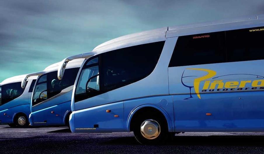 Autocares Piñero