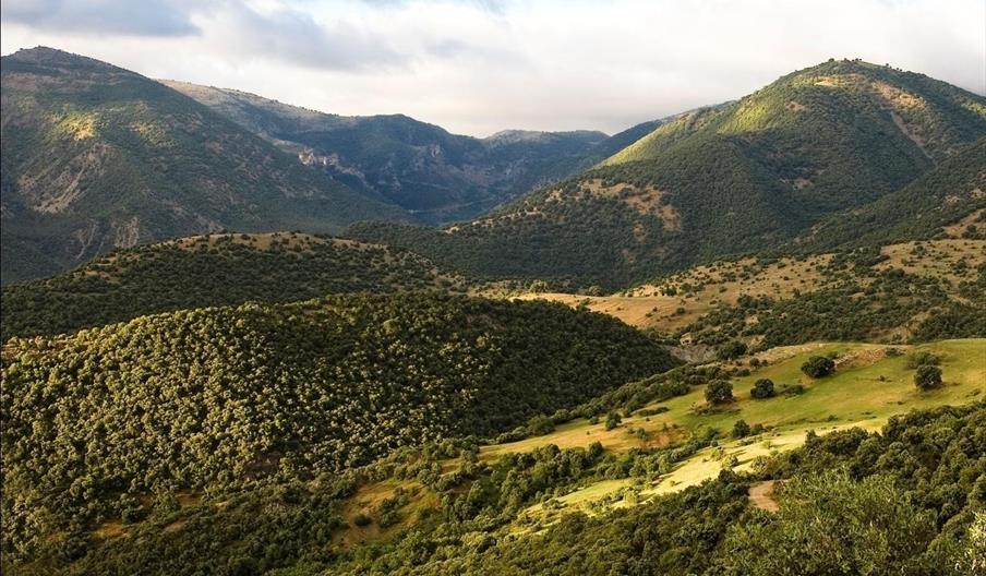 Cortijo del Moralejo