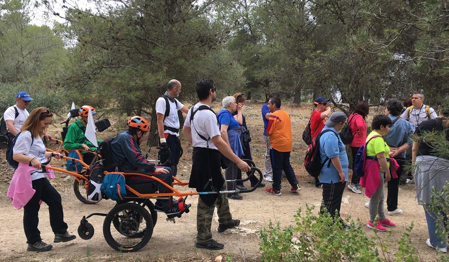 Rural Services Proyectos Sostenibles