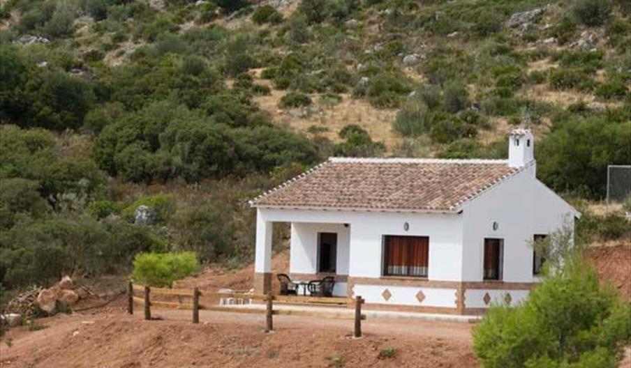 La Solana de Turón - El Pino