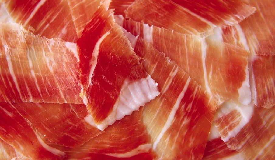 Hijos de Catalina Rodríguez Castaño