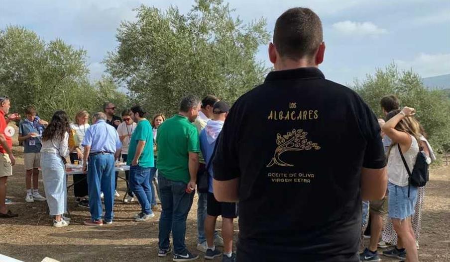 Oleoteca Los Albacares