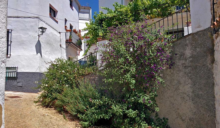 Barrio de los Riscos