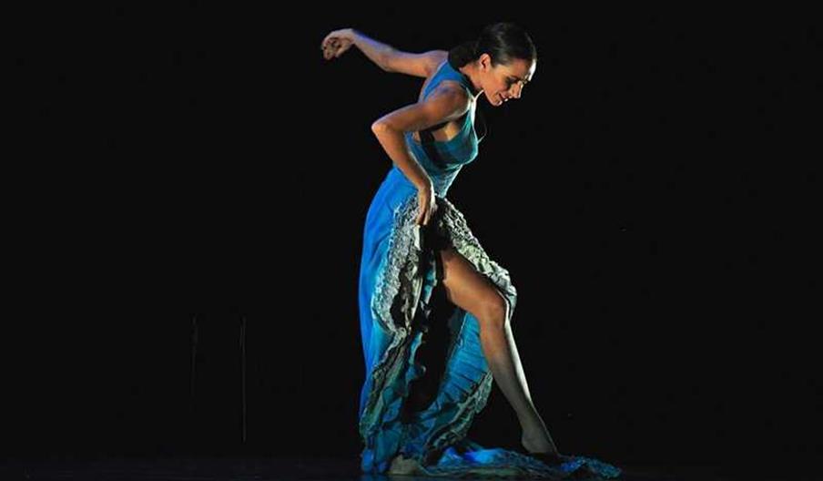 image_256657_jpeg_800x600_q85.jpg Anabel Veloso