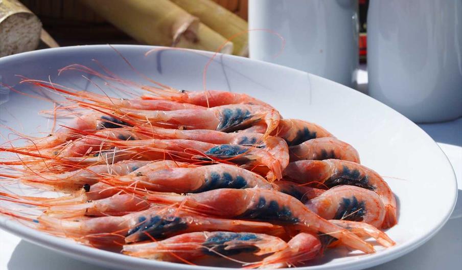 Restaurante Kisquilla de Motril