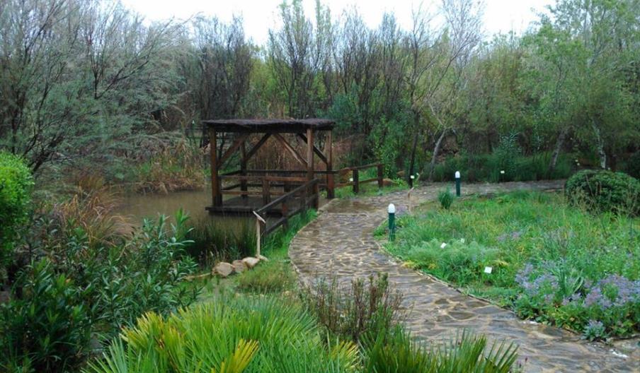 Jardín Botánico El Aljibe
