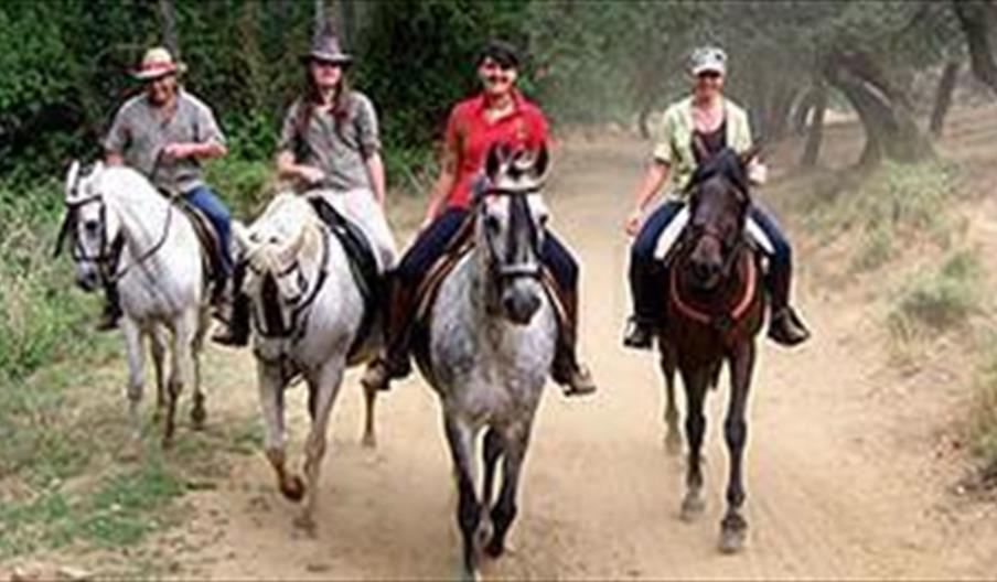 Centro Ecuestre El Chaparral