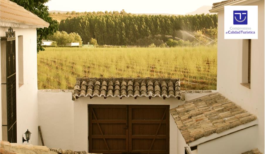 Apartamentos Molino de Abajo