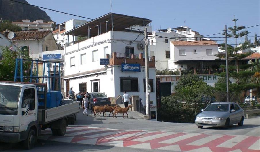 Hostal Valle del Sol