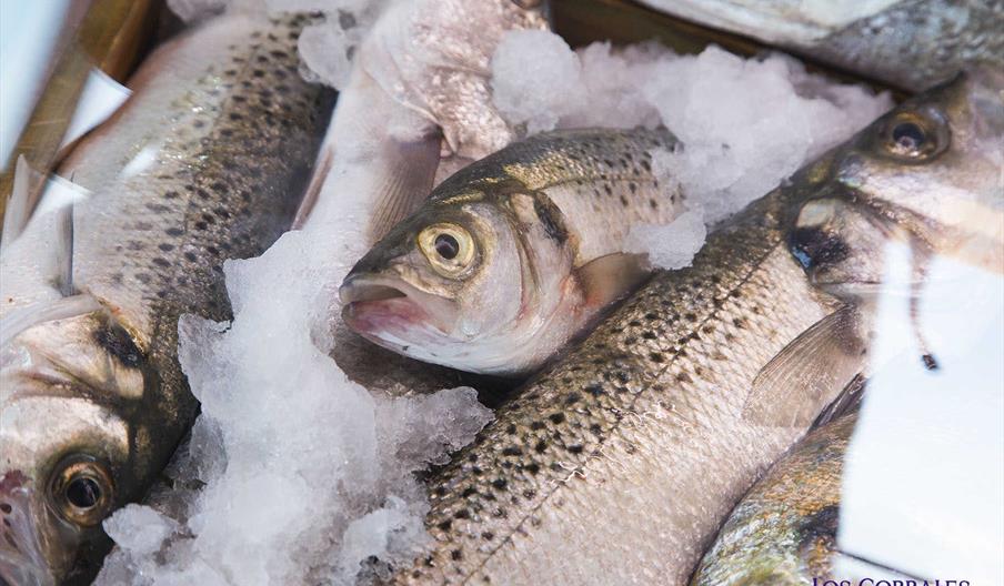 RESTAURANTE LOS CORRALES