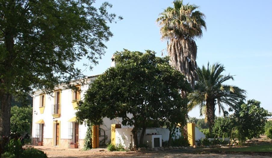 Vivienda Rural Vega El Cortijillo