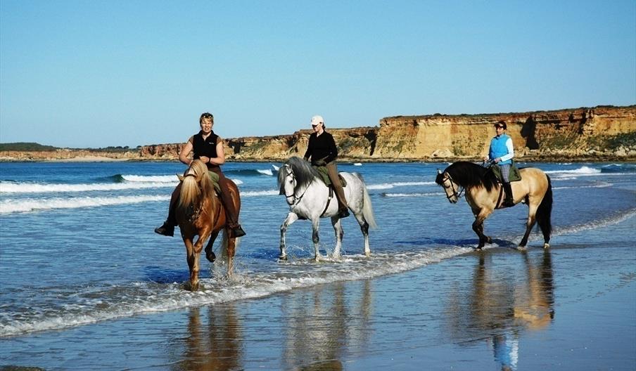 Picadero Fuente del Gallo