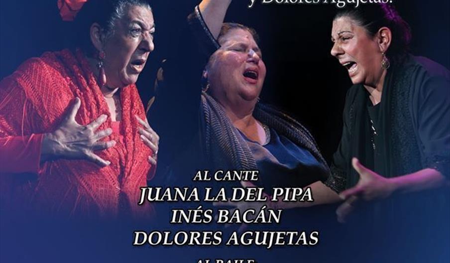 Palma de Plata "Ciudad de Algeciras"