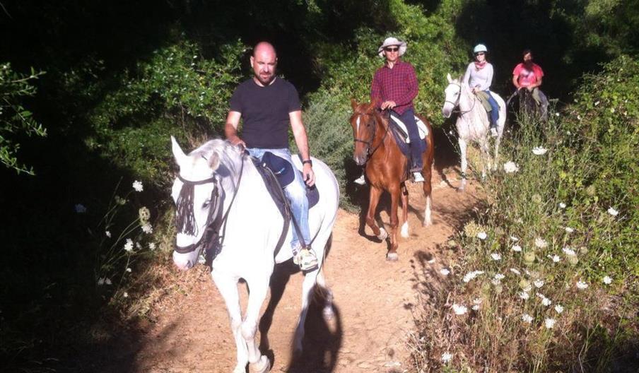 Club Hípico La Mimbre