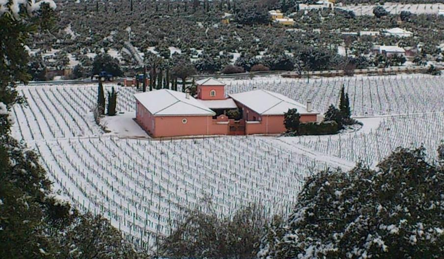 Bodegas Conrad
