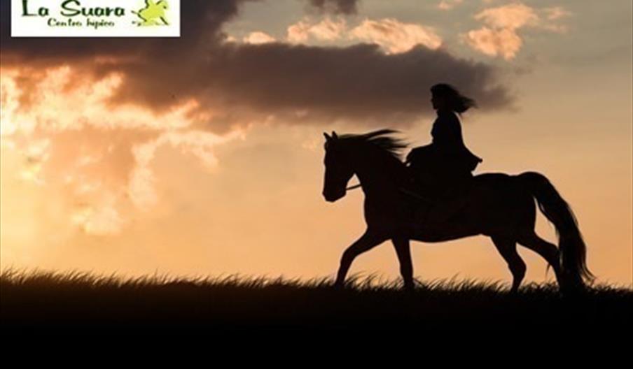 Asociación Centro Hípico La Suara
