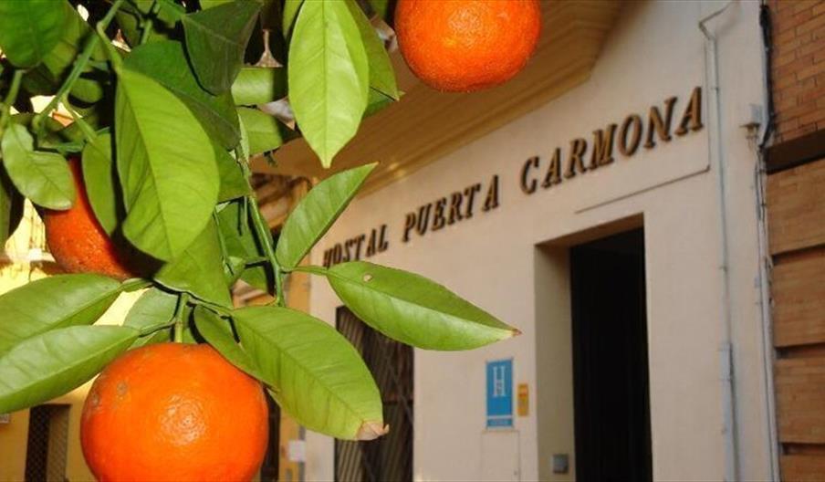 Hostal Puerta Carmona