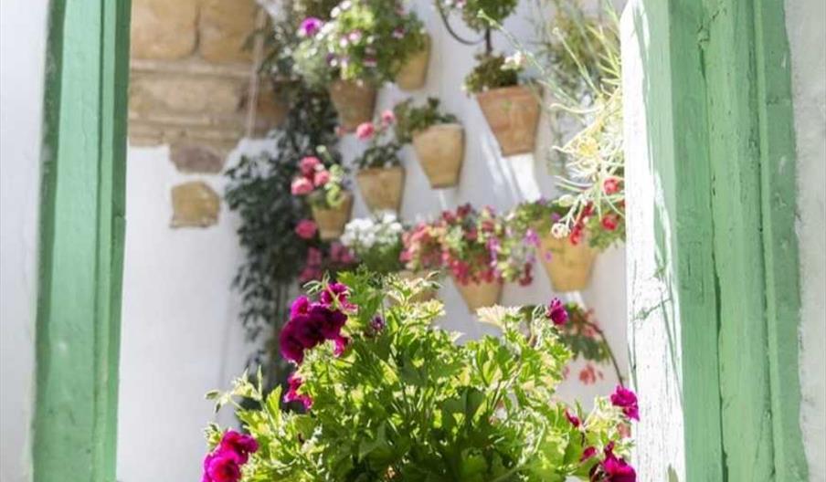 Agencia Granada Exclusive