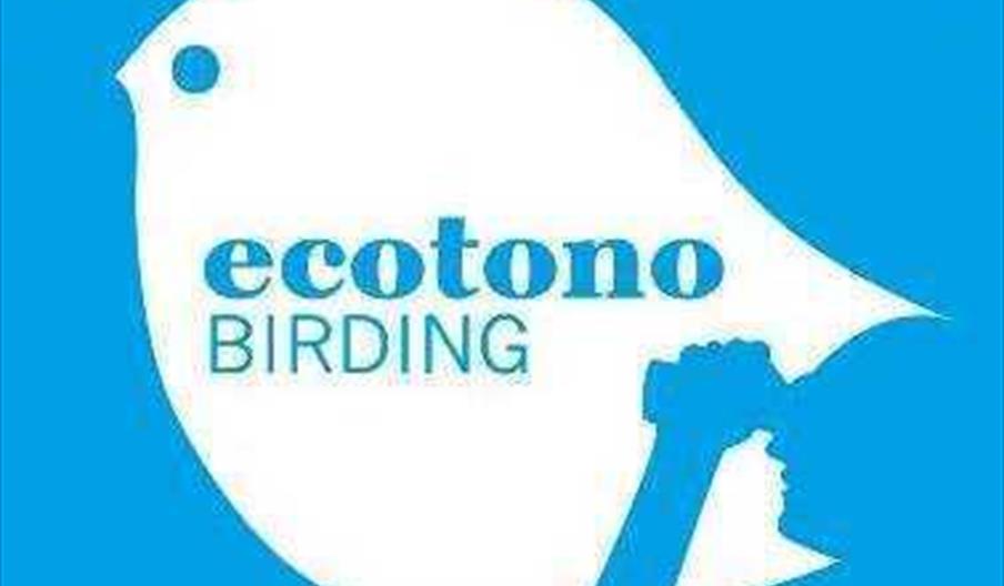 Perfil FB ECOTONO BIRD