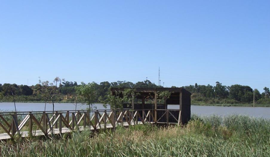 Estero de Domingo Rubio