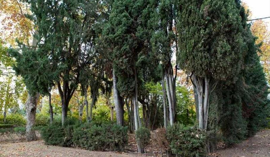 Jardines de Winthuysen Turismo sev.2