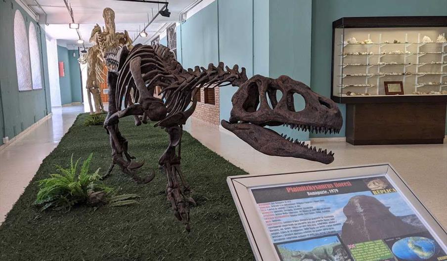 Museo Paleontológico de Estepona