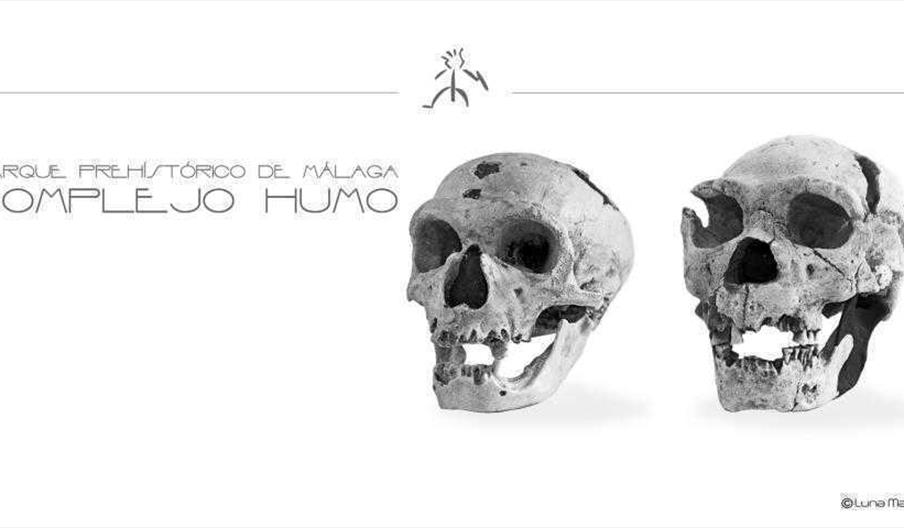 Yacimiento La Araña