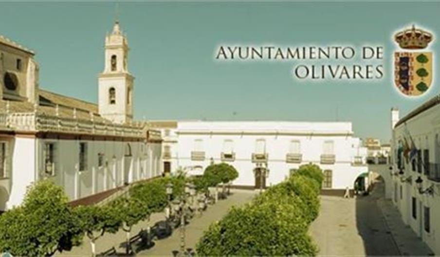 Olivares