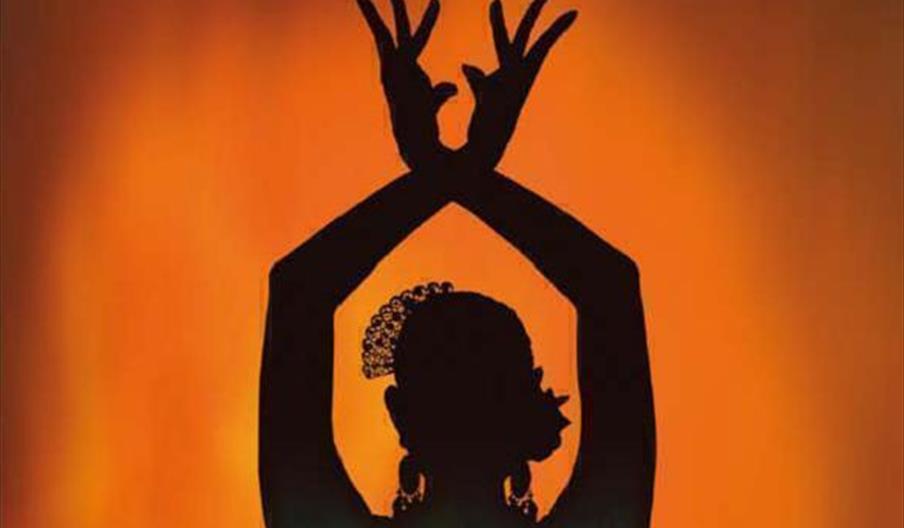 Academia de Baile Milla