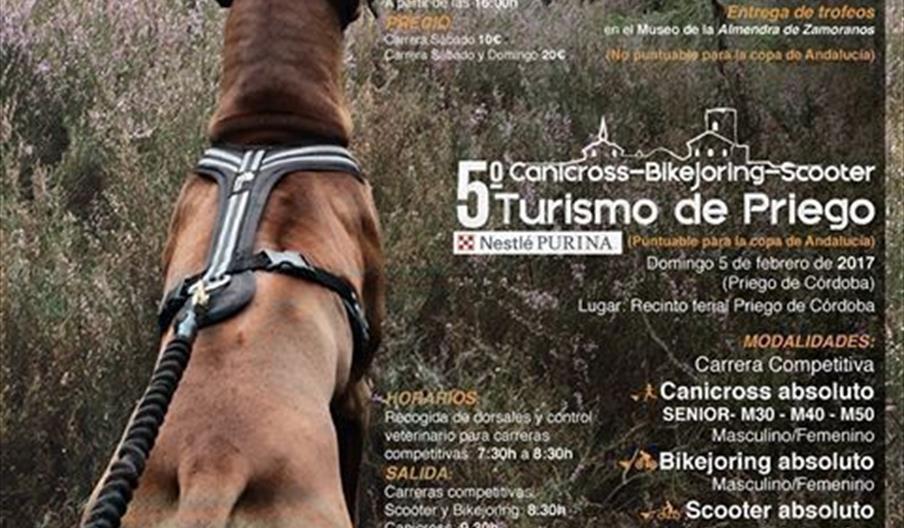 Canicross en Priego de Córdoba