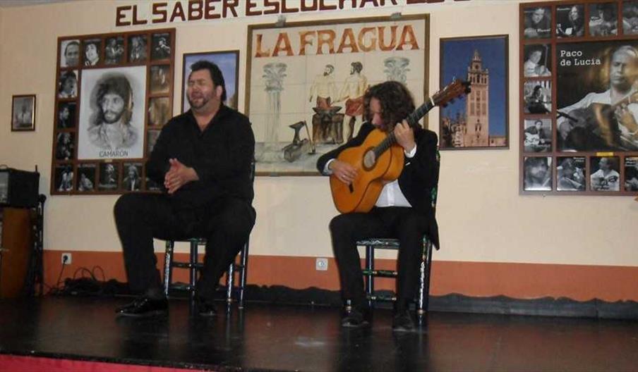 La Fragua Bellavista