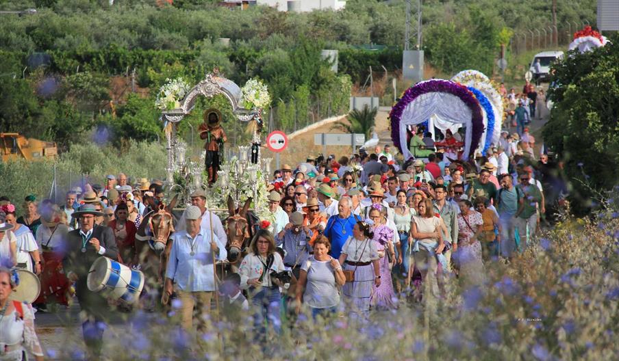 Romería de San Isidro Labrador Montellano